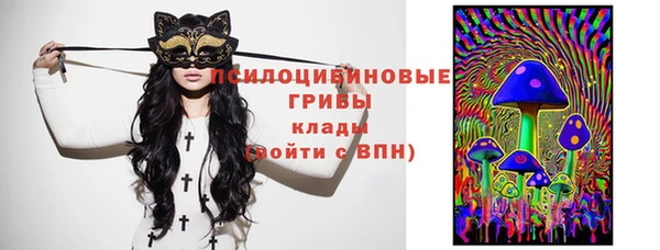 ешки Новодвинск