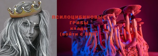 ешки Новодвинск