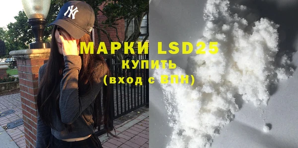 ешки Новодвинск