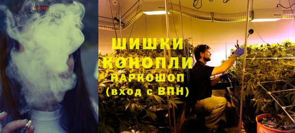 ешки Новодвинск