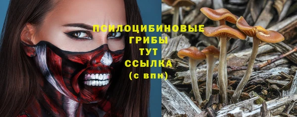 эйфоретик Новокубанск
