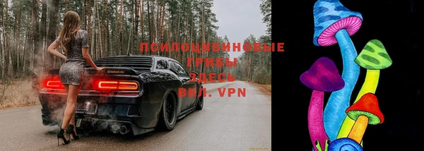 ешки Новодвинск