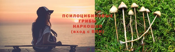 спиды Нея