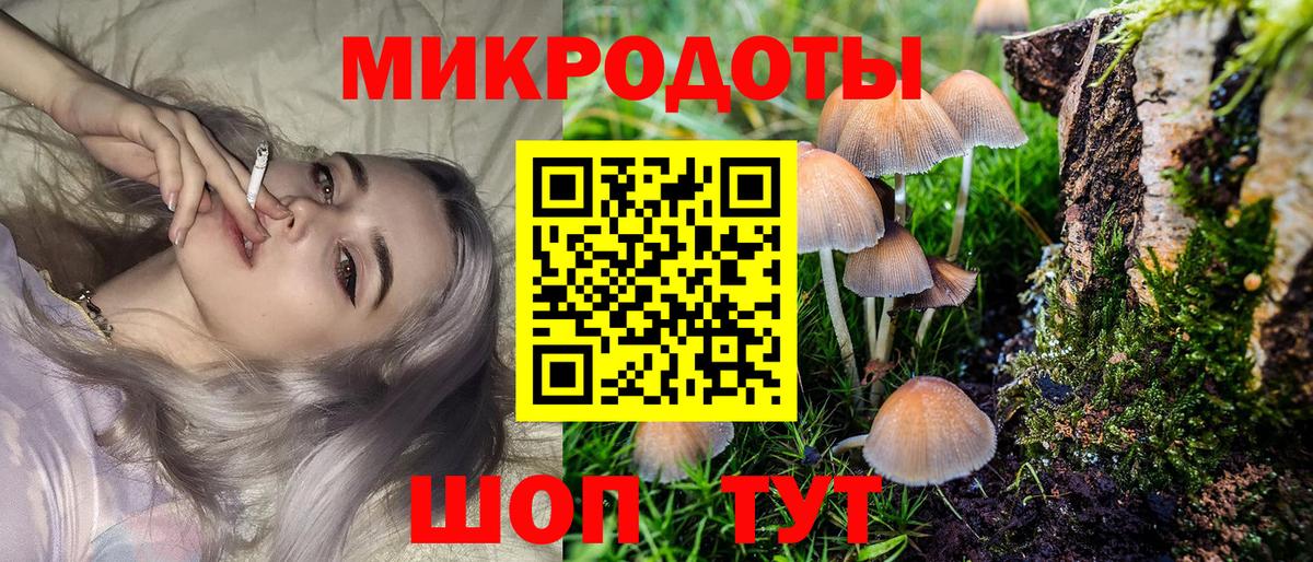 Псилоцибиновые грибы Cubensis Тара
