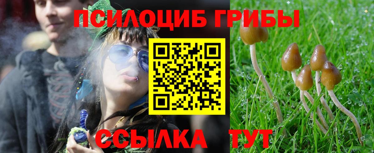 Галлюциногенные грибы GOLDEN TEACHER  Псилоцибиновые грибы прущие грибы  Тара  Вход с VPN 